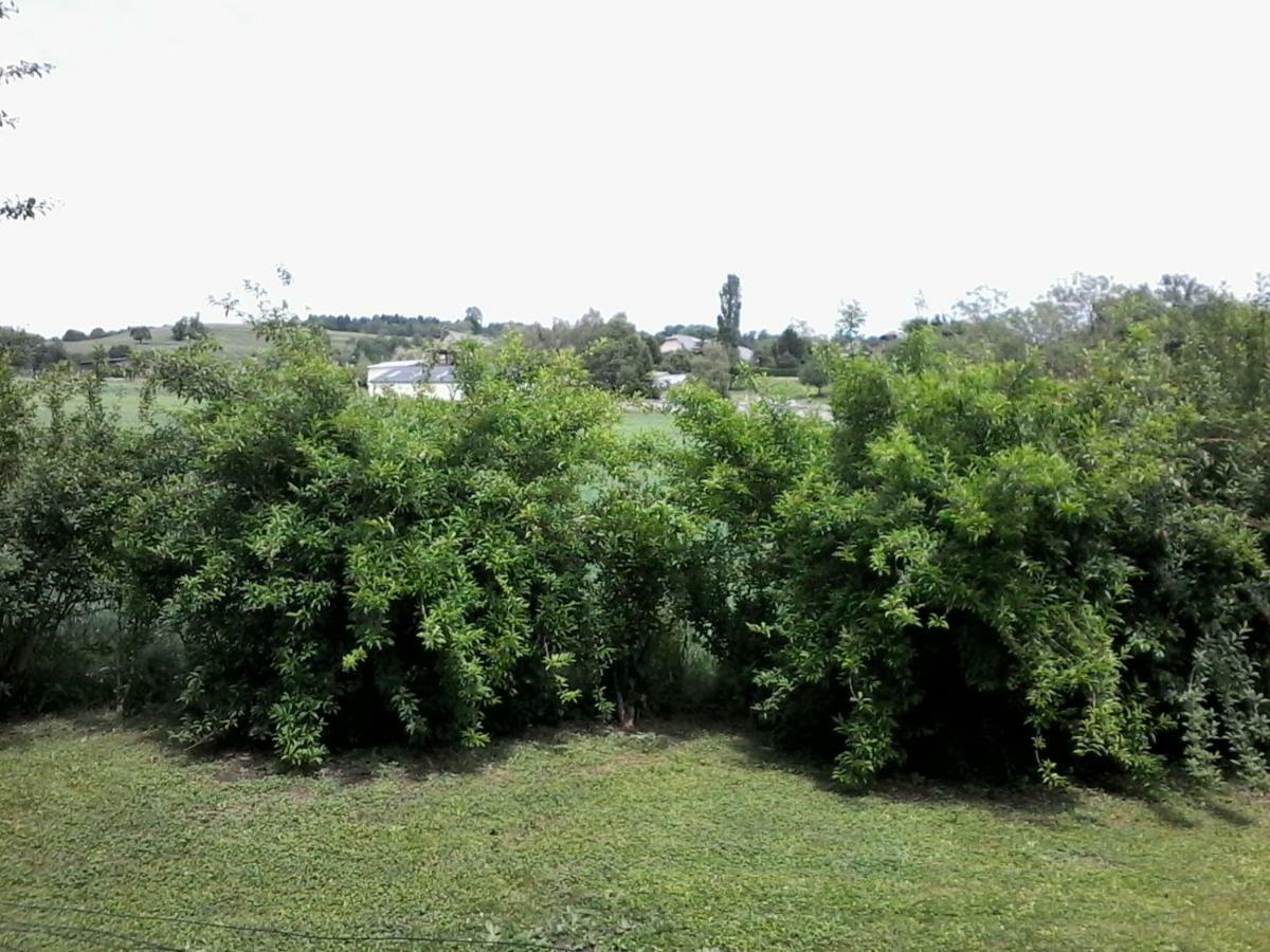 Les Haies Vives Choisy Bagian luar foto